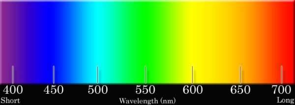 Three Color Wavelight How the Brain and Eyes Interpret Color