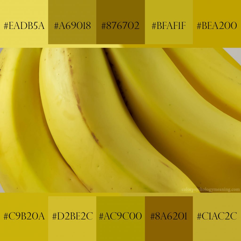 Banana yellow color palette.