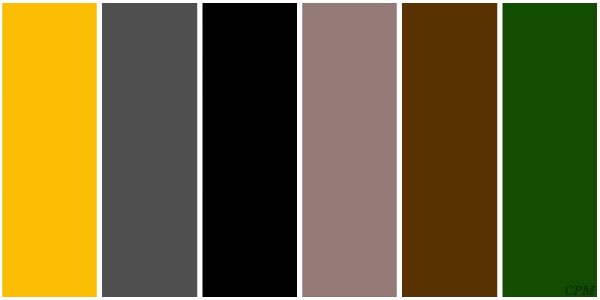 Color Amber - Meaning & Psychology
