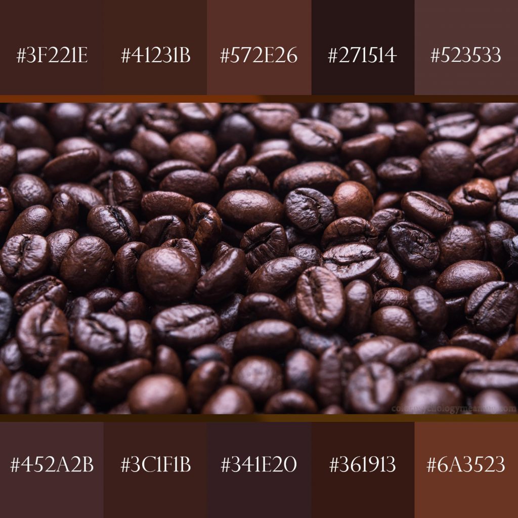 Brown color coffee palette with hex codes.