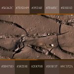 Shades of Brown & Names, with HEX, RGB Color Codes