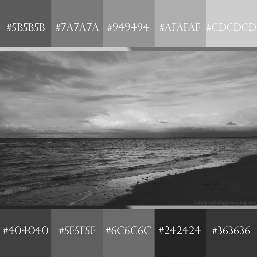 Gray sea color palette with hex codes.