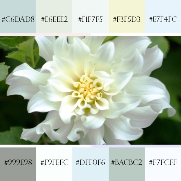 Modern White Color Rgb Shades of White & Names with HEX, RGB Color Codes