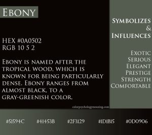 Color Ebony - Meaning & Psychology