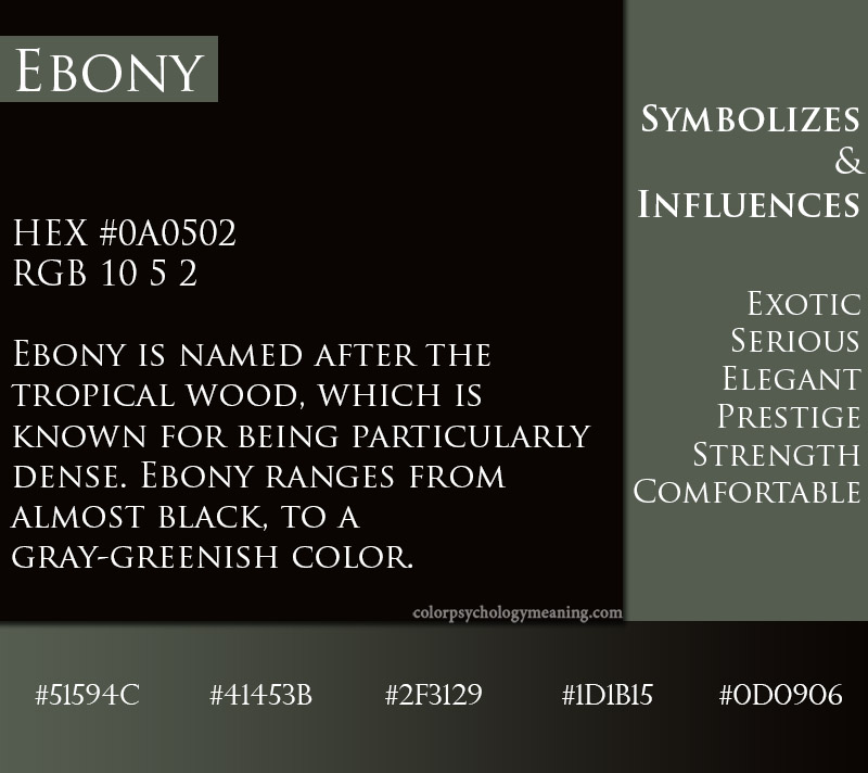 Ebony color meaning, symbolism, and hex codes.